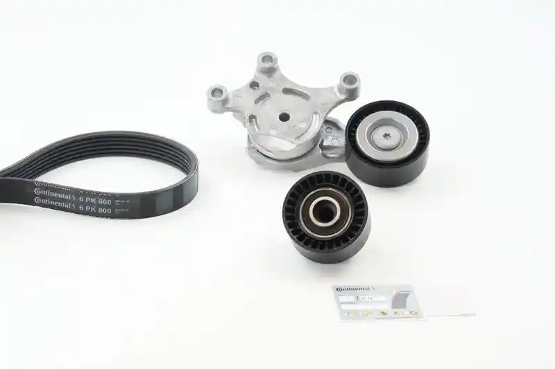 CONTINENTAL CTAM 6PK800K1 CONTINENTAL CTAM 6PK800K1