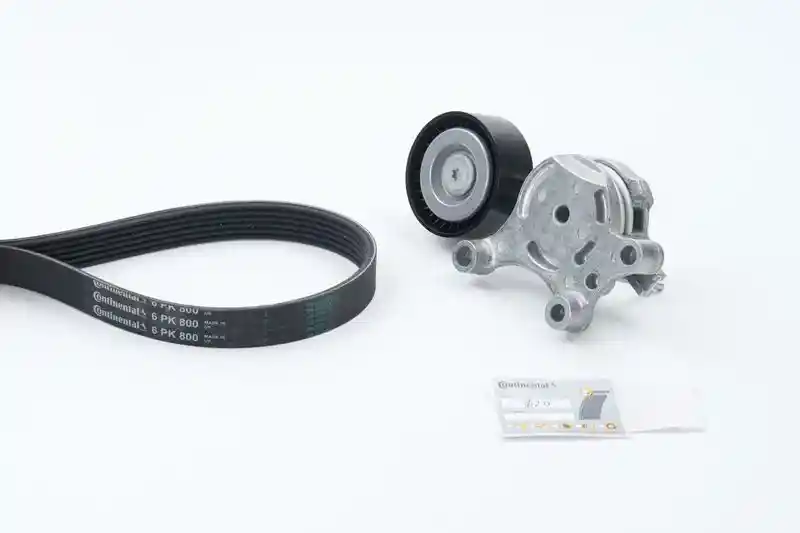 CONTINENTAL CTAM 6PK800K2