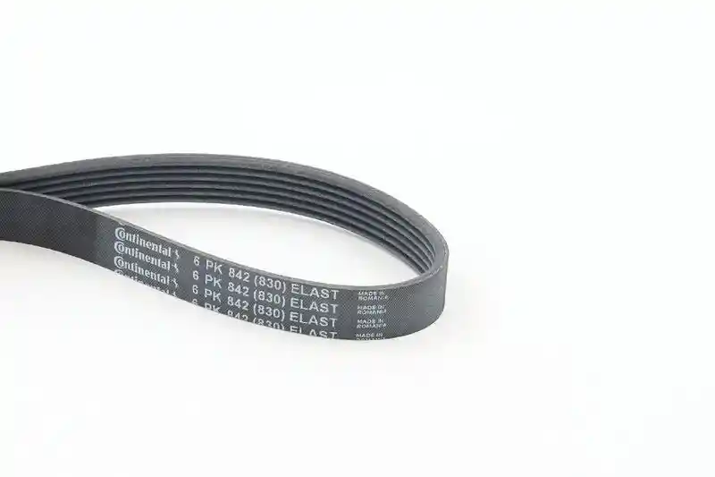 CONTINENTAL CTAM 6PK842 ELAST