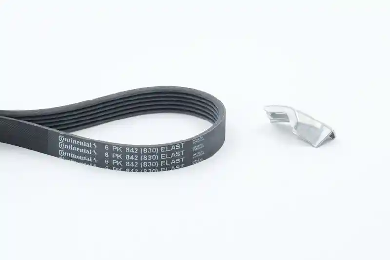 CONTINENTAL CTAM 6PK842 ELAST T1 CONTINENTAL CTAM 6PK842 ELAST T1