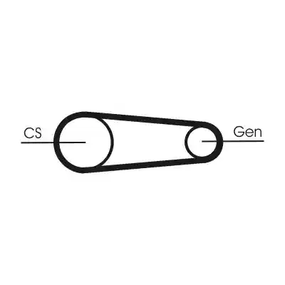 CONTINENTAL CTAM 6PK842 ELAST T1 CONTINENTAL CTAM 6PK842 ELAST T1