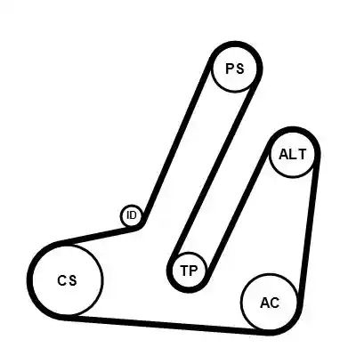 CONTINENTAL CTAM 6PK869K1
