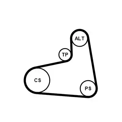 CONTINENTAL CTAM 6PK906K1