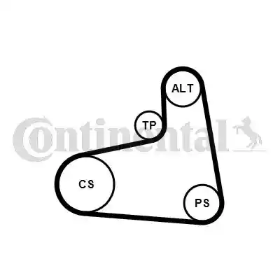 CONTINENTAL CTAM 6PK906K3
