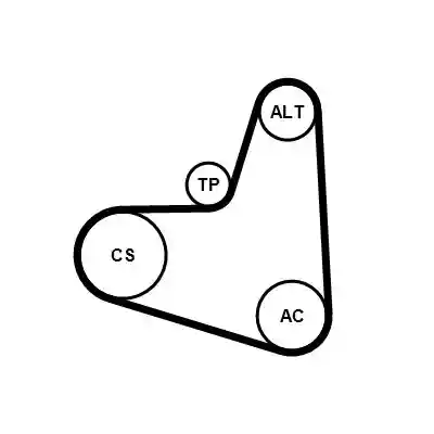 CONTINENTAL CTAM 6PK948K1