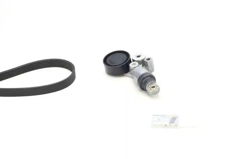 CONTINENTAL CTAM 6PK955K2