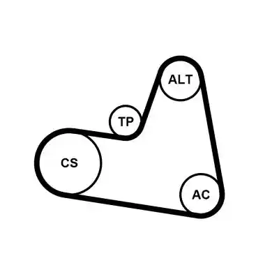 CONTINENTAL CTAM 6PK962K1