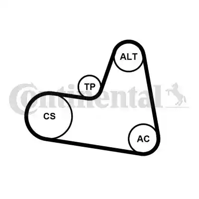 CONTINENTAL CTAM 6PK962K2