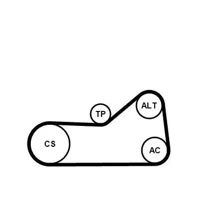 CONTINENTAL CTAM 6PK976WP1
