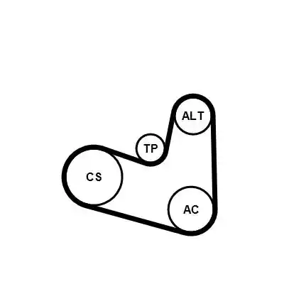 CONTINENTAL CTAM 6PK989 ELAST K1