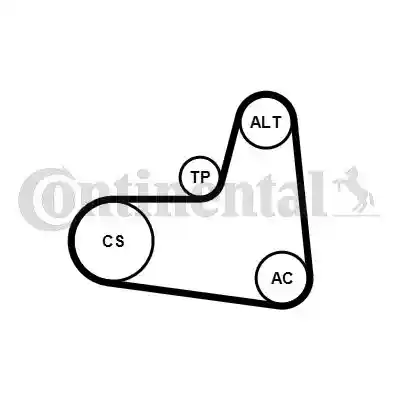 CONTINENTAL CTAM 6PK995K1