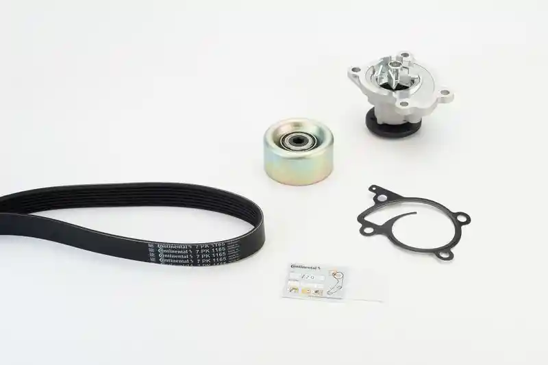 CONTINENTAL CTAM 7PK1165WP1