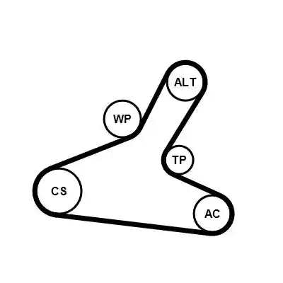 CONTINENTAL CTAM 7PK1165WP1