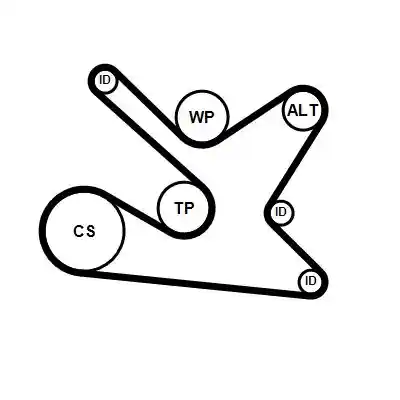 CONTINENTAL CTAM 7PK1570K2