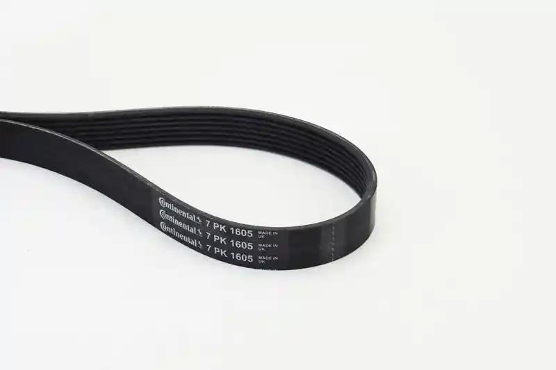 CONTINENTAL CTAM 7PK1605