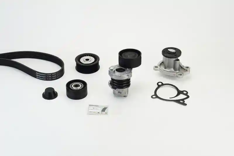 CONTINENTAL CTAM 7PK1605WP1