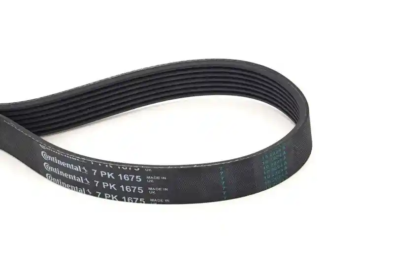 CONTINENTAL CTAM 7PK1675