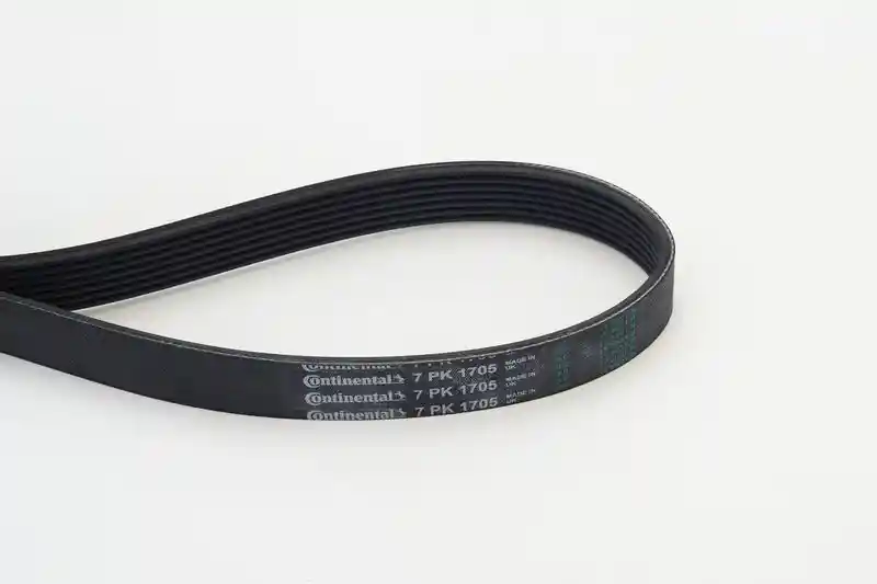 CONTINENTAL CTAM 7PK1705