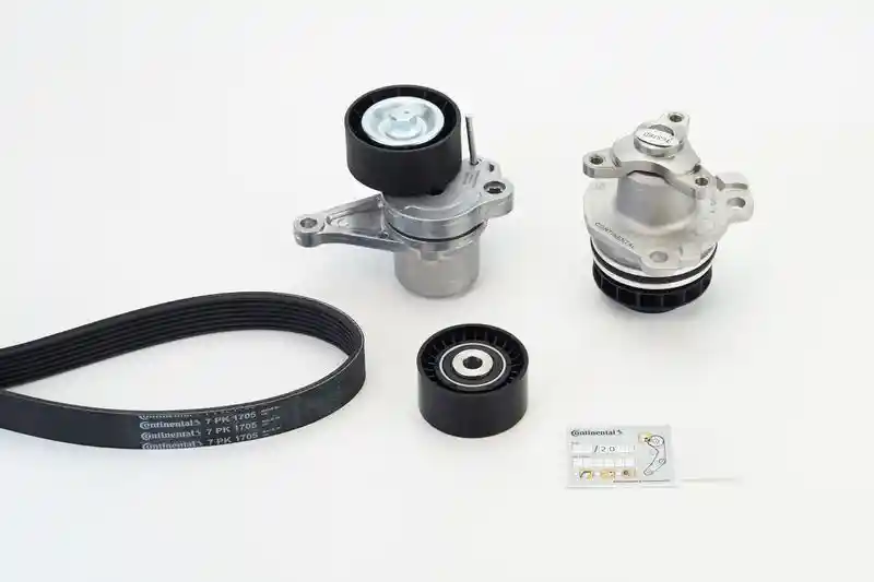CONTINENTAL CTAM 7PK1705WP1