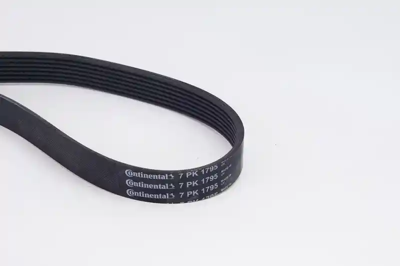 CONTINENTAL CTAM 7PK1795K1