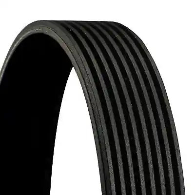 CONTINENTAL CTAM 8PK1175 CONTINENTAL CTAM 8PK1175