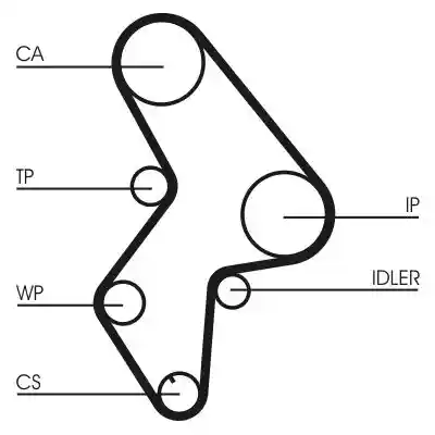 CONTINENTAL CTAM CT1061WP1