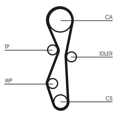 CONTINENTAL CTAM CT1142K1