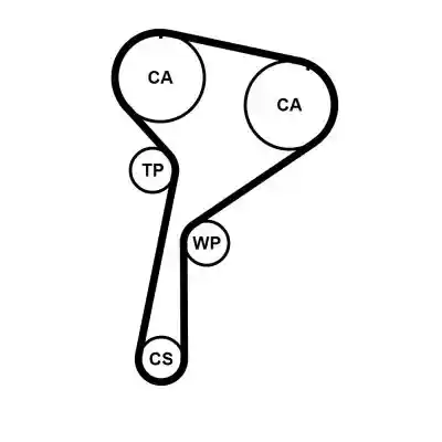CONTINENTAL CTAM CT1184K1