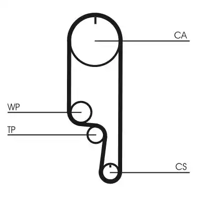 CONTINENTAL CTAM CT1261WP1