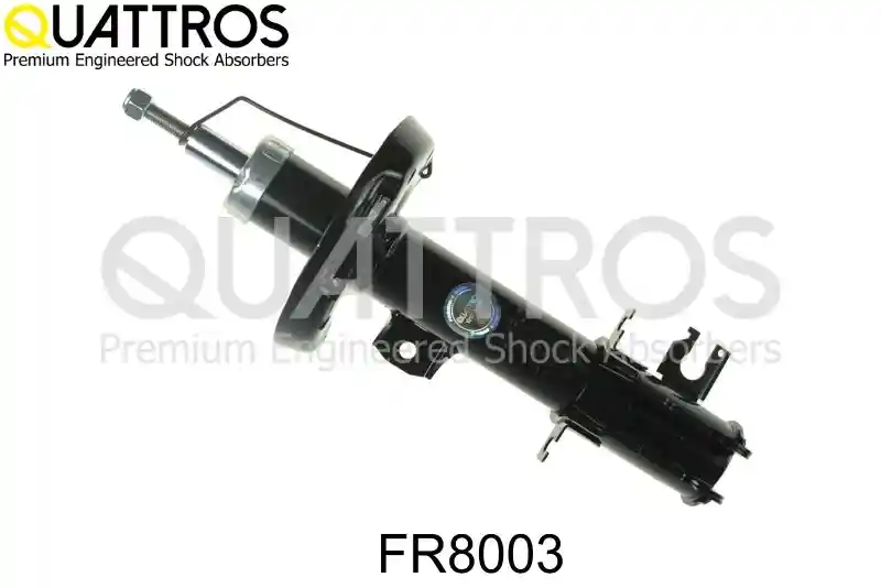 DAVID VASCO FR8003