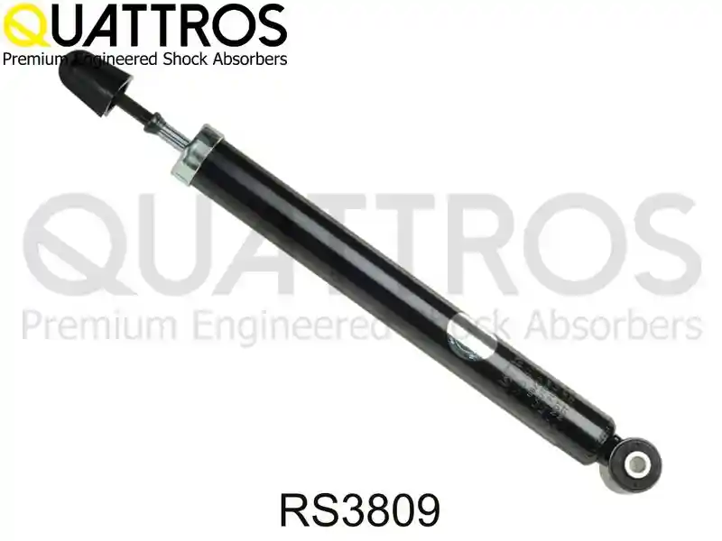 DAVID VASCO RS3809