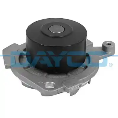 DAYCO DP047