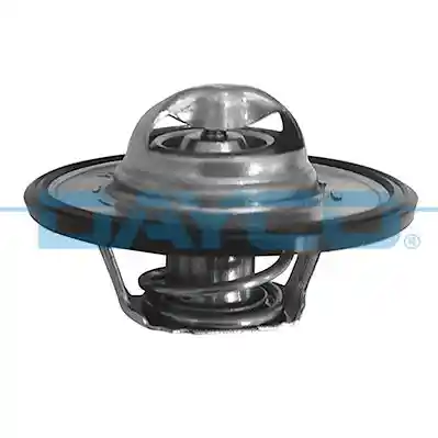 DAYCO DT1019V