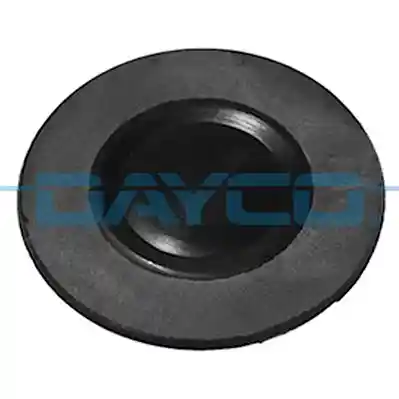 DAYCO V0049