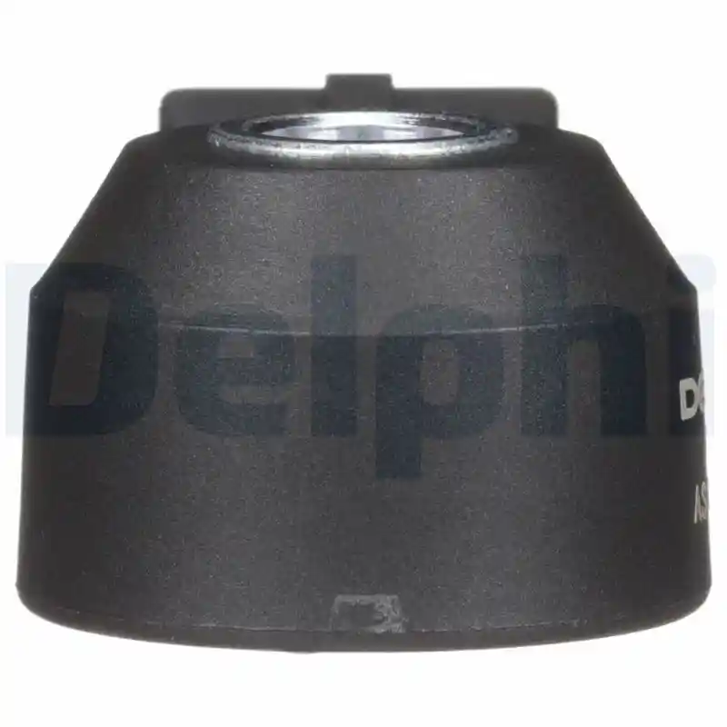 DELPHI AS10167