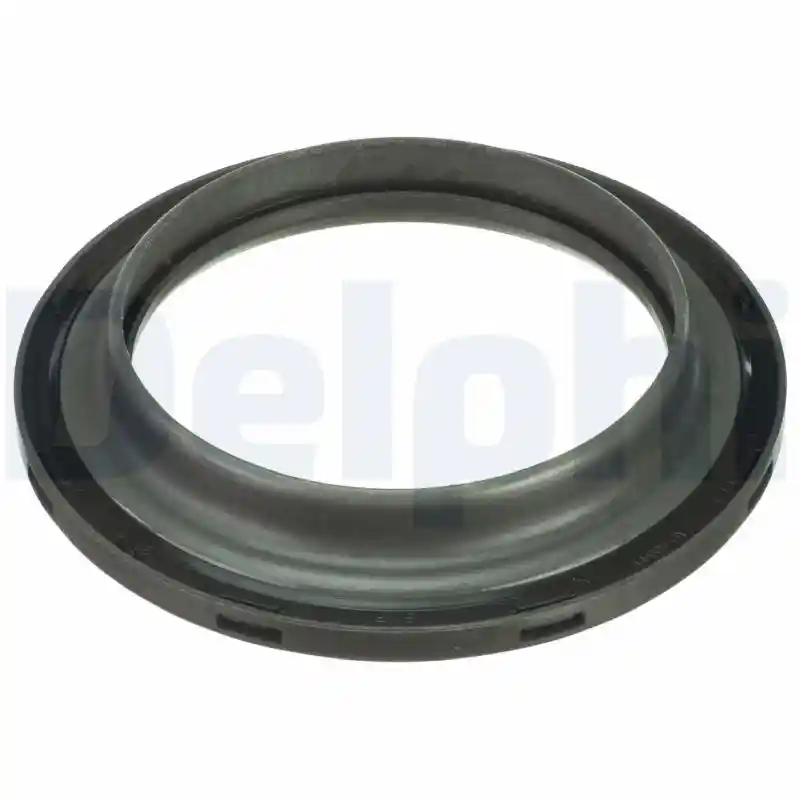 DELPHI BSJ30019