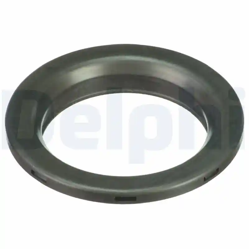 DELPHI BSJ30019