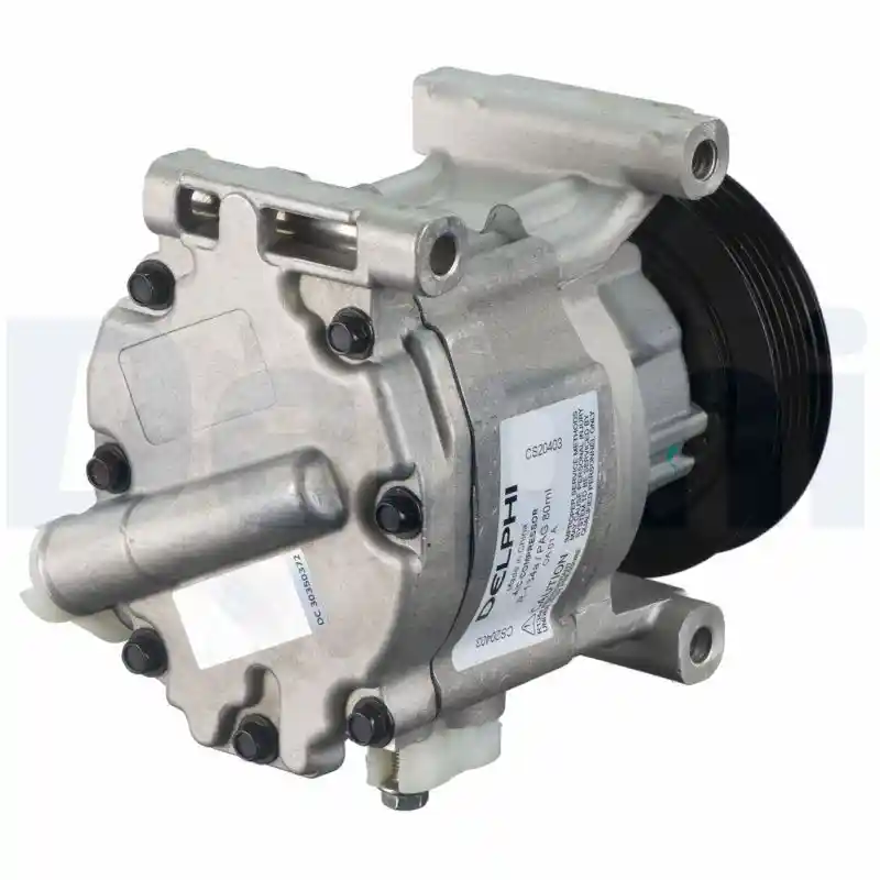 DELPHI CS20403