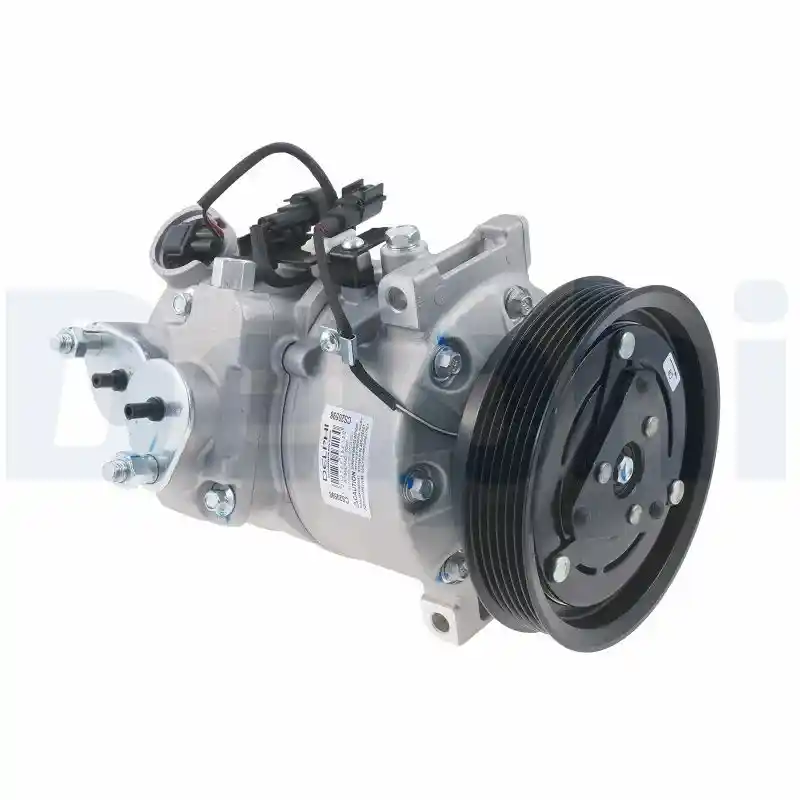 DELPHI CS20598