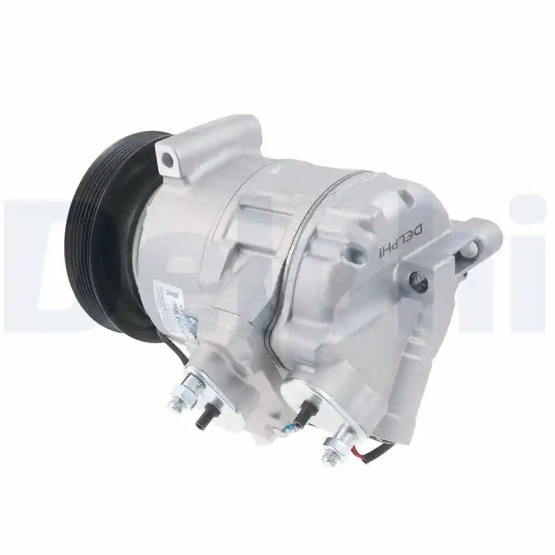 DELPHI CS20598