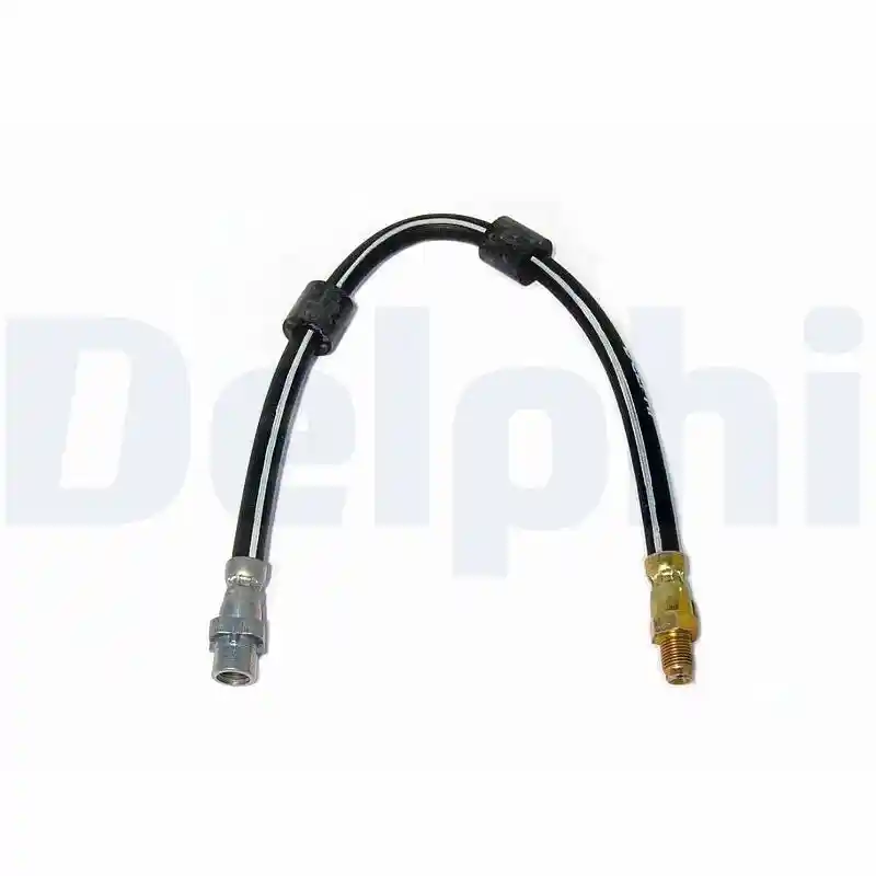 DELPHI LH0219