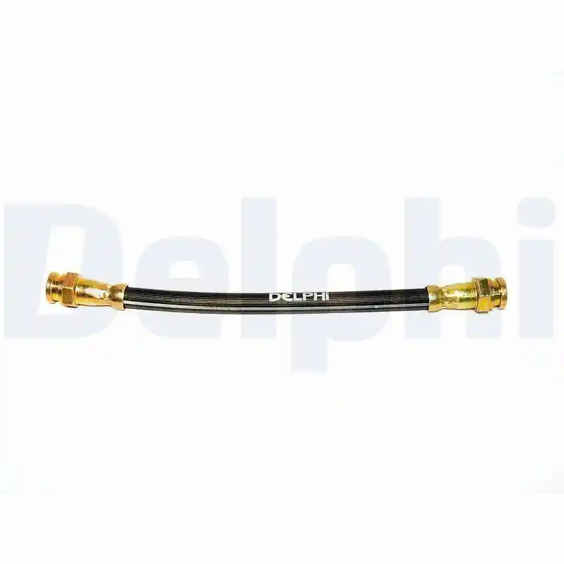 DELPHI LH0318