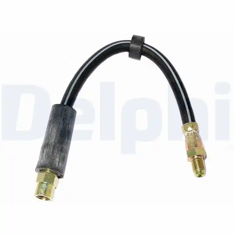 DELPHI LH0417