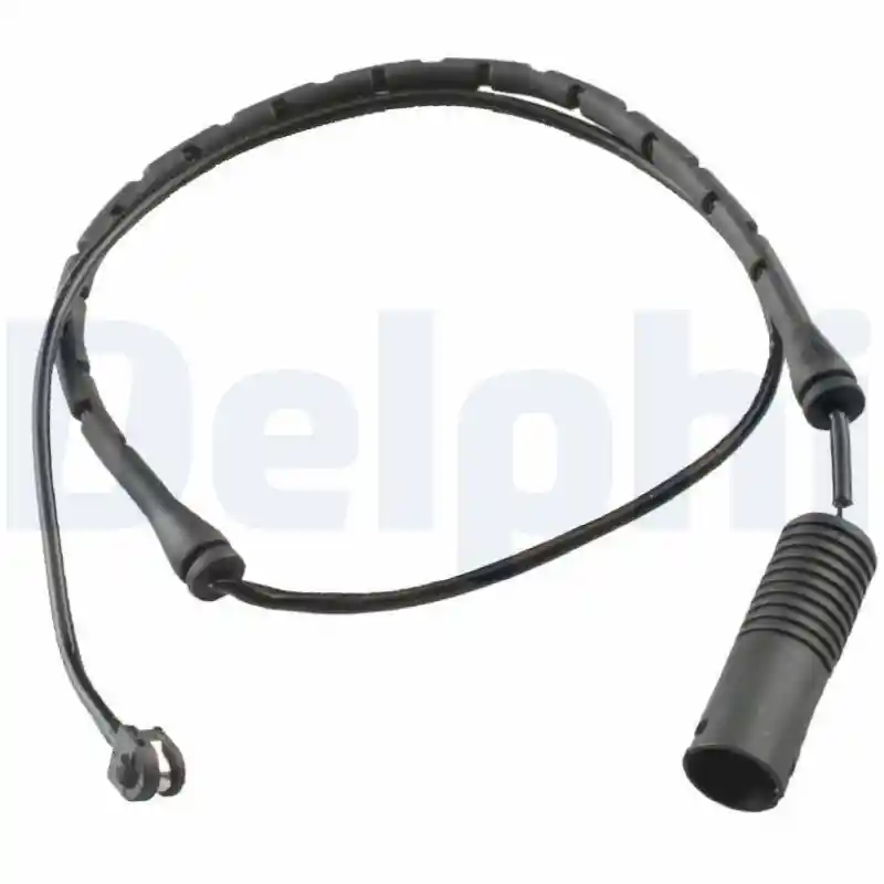 DELPHI LZ0118