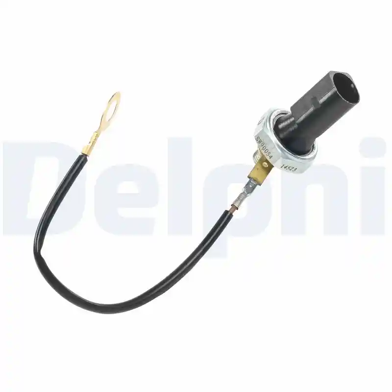 DELPHI SW90054-12B1
