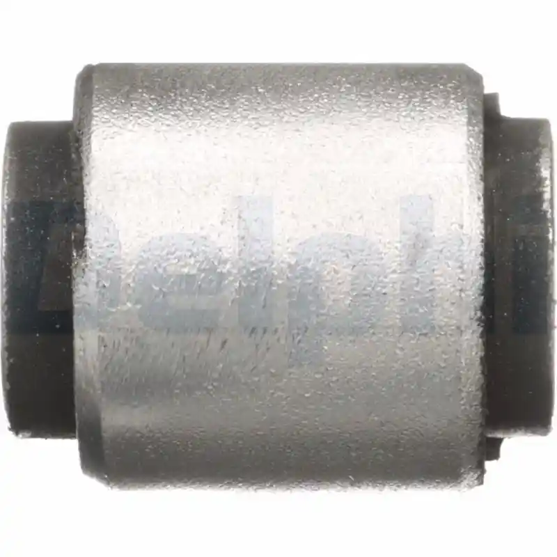 DELPHI TD1301W
