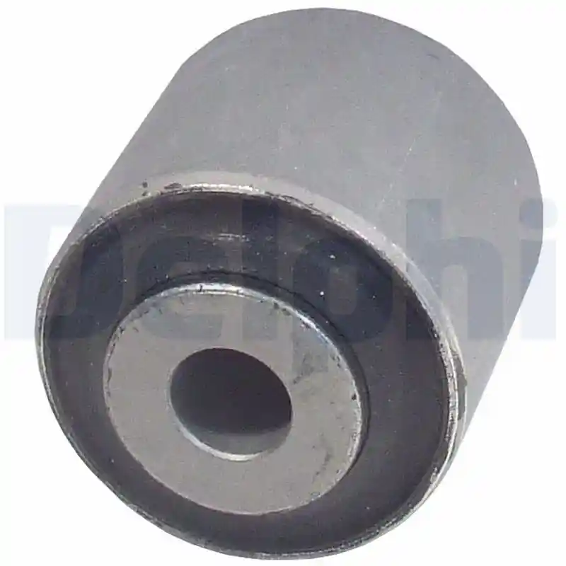 DELPHI TD819W