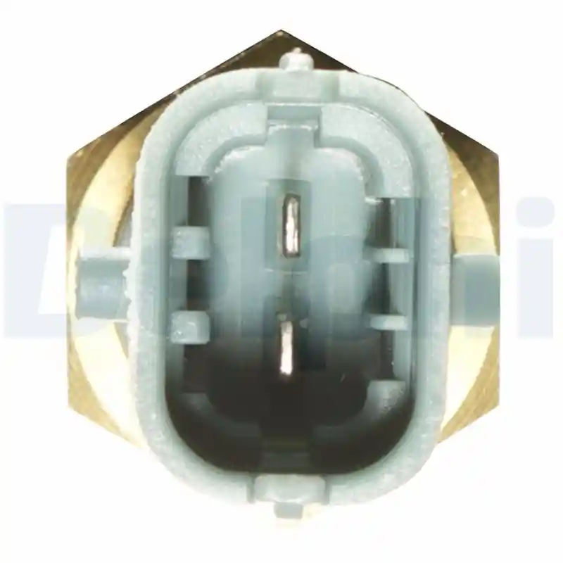 DELPHI TS10253 DELPHI TS10253
