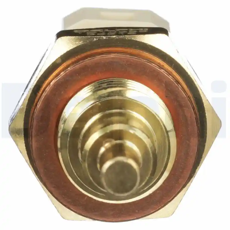 DELPHI TS10289 DELPHI TS10289