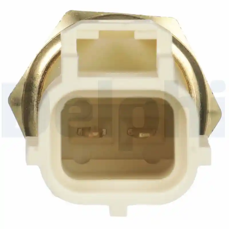 DELPHI TS10289 DELPHI TS10289